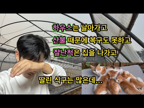 최악이다…  불은 언제 꺼지려나…