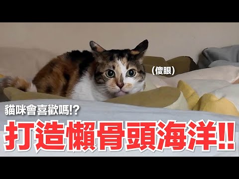 【好味小姐】我家怎麼變這樣！？史上最成功企劃～｜好味貓日常241