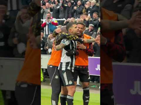 The BEST corner kick goal 🤯 #premierleague