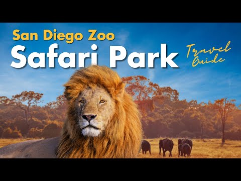 San Diego Zoo Safari Park - Best Things to Do in 2025