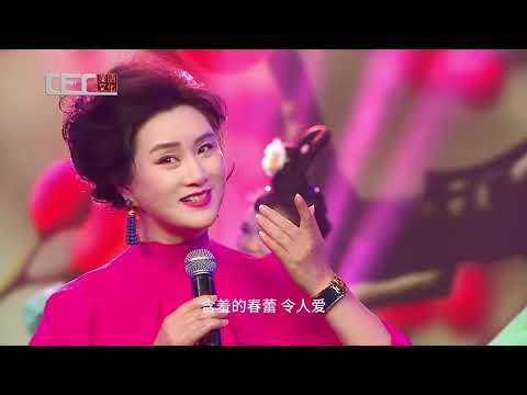 美妙音乐的春节晚会《国乐飘香 一路芳华》