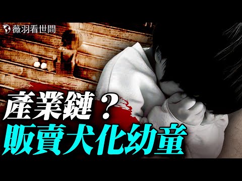 不穿衣服、用四肢爬行！雲南黑色產業鏈：將幼童訓成犬類販賣？更多陰暗曝光！｜薇羽看世間 20251024