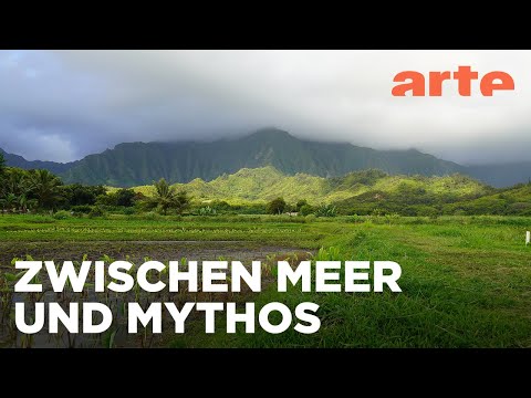 O'ahu | Hawai‘i Reupload | ARTE Family