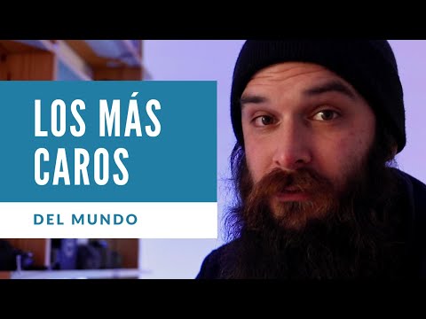 The highest-paid programmers in the world