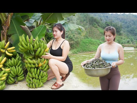Full Video -- 200 Days CEO Girl How To Make Handmade Tofu, Harvest Banana, Grow Vegetable