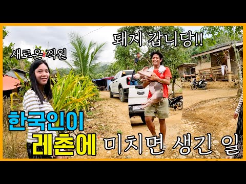 [일일드라마] 레촌 맛을 잊지 못하고 새끼돼지를 데려왔는데... 여기에 지마을이 있다고?