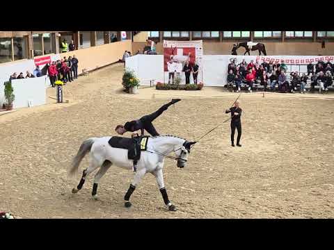 SM Voltige 2025 Fehraltdorf - Sven