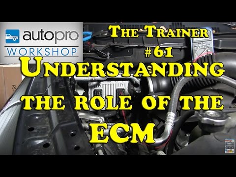 The Trainer #61 - DTC Diagnostics Pt1:  How The ECM Thinks