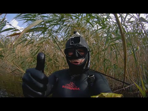 ПОДВОДНАЯ ОХОТА На какие камеры я снимаю свою подводную охоту