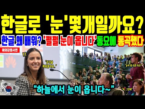 옥스퍼드 대학 한글 감각 언어 의태어 무시하더니 "펄펄 눈이 옵니다" 동요에 통곡한 이유 [해외감동사연]