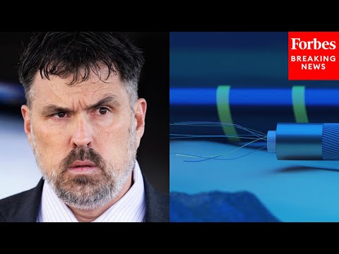 'Long-Term Damage Is A Lot Worse': Morgan Luttrell Presses Security Expert On Undersea Cable Tapping