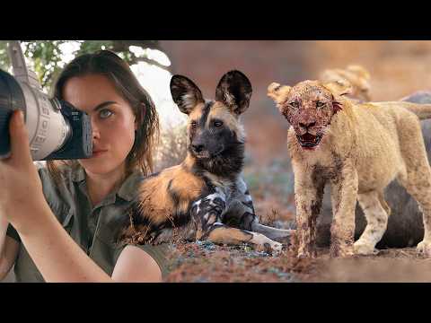 WILDEST DAY I’ve Ever Filmed: WildDogs & Lions on a Kill