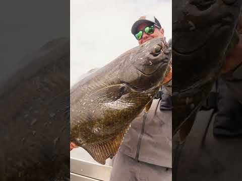 The CANADIAN ANGLE is BACK! @MeatEaterTV