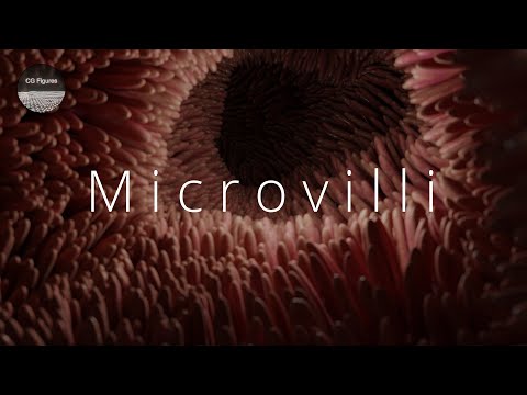Blender for Scientists - How to Make Microvilli in Blender