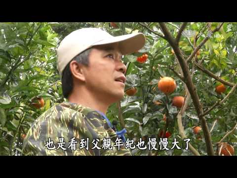 【農夫與他的田】20160627 - 青年農夫的理想田