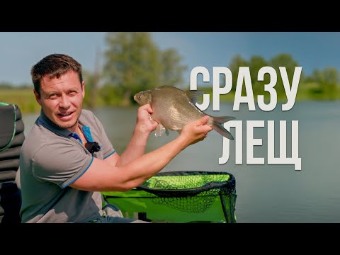 I caught a bream, and everything went wrong. Feeder fishing on the river in early summer.