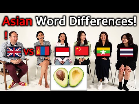 British Translator Shocked By Asian Word Differences! Thailand, Mongolia, Indonesia, China, Myanmar