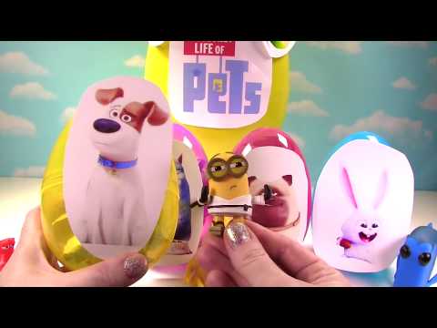 Huge Secret Life of Pets Mystery Egg Surprise!