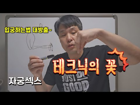 공짜로 입궁하는 방법을 알려드립니다