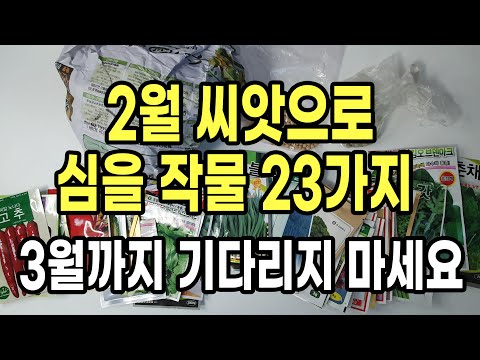 23 Crops You Can Plant From Seed in February—Don't Wait Until March