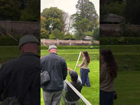 September Recap | Oliver Brown