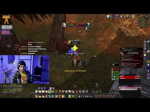 55+ HARDCORE PALADIN AND PRIEST HUSBAND WIFE DUO | Classic Hardcore Doomhowl