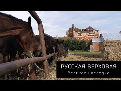 Фильм Русская верховая. Великое наследие