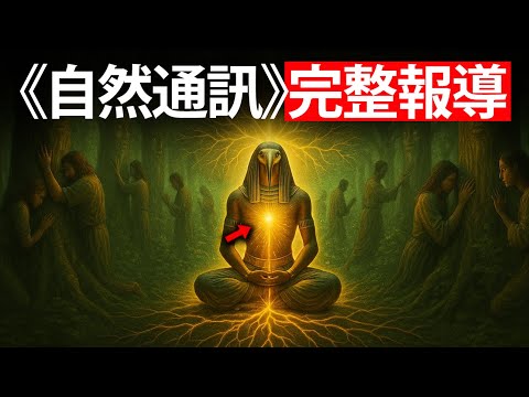 自然沟通的完整故事——每个灵修者都必须知道