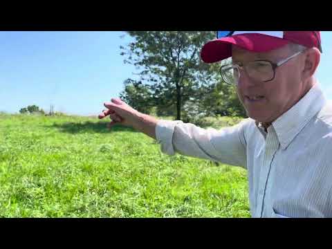 Brushogged pasture versus non-brushogged pasture after 4 days of consecutive rain.