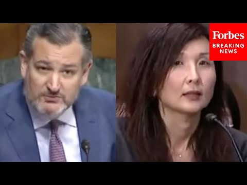 'Did You Agree With It?': Ted Cruz Grills Judicial Nominee About Controversial Press Release