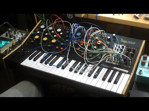 My Favorite Synth Just got Even Better...