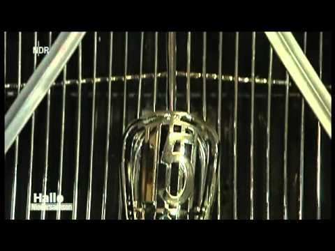 Oldtimersammler Fritz Hardach