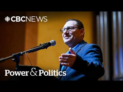 Could Avi Lewis divide or unite the NDP? | Power & Politics