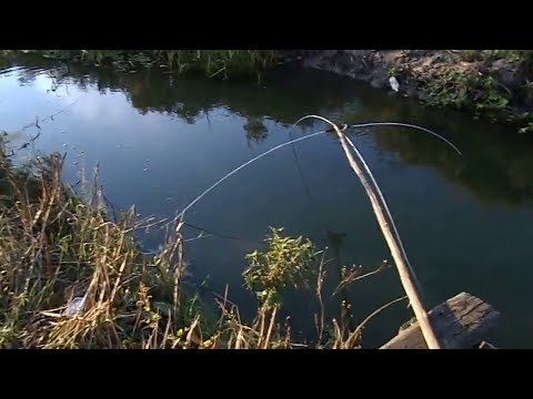 Рыбалка на паук. ТЛК - Групп. Компания превзошедшая все ожидания.