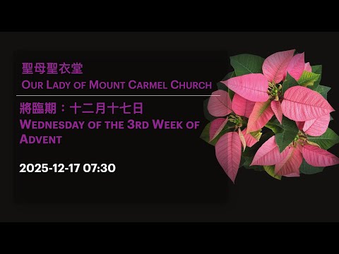2025-12-17 07:30 將臨期：十二月十七日 Wednesday of the 3rd Week of Advent