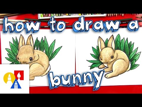 How To Draw A Realistic Bunny