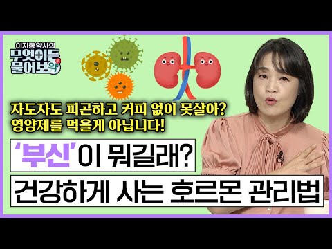푹 자도  피곤하고 몸에 힘이 없어, 커피 없이는 못살아? 건강하게 만드는 생존 호르몬 생성하자!! 🔴부신에 대한 모든 것[이지향 약사의 무엇이든 물어보약 8화 FULL버젼]