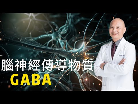 助眠 減壓 抗焦慮的大腦物質－GABA｜如何用自然的方式提升GABA｜吃補充劑為什麼沒用⁉️可以吃什麼食物？