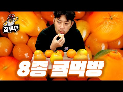 귤 대잔치 8종 비교 먹방