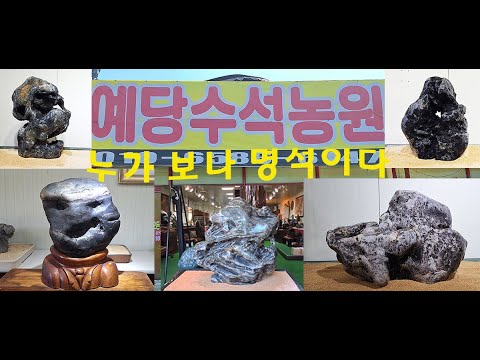 Anyone who sees it is clear