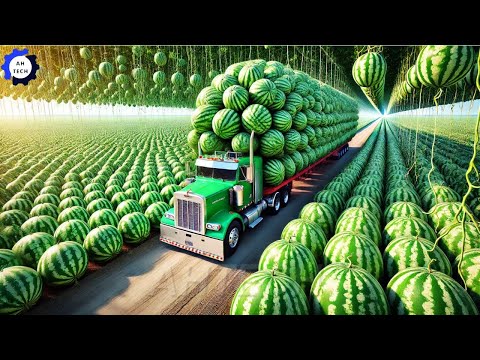 How US Farmers Harvest & Process 8.5M Tons of Crops #5 | Most Satisfying Agriculture Technology