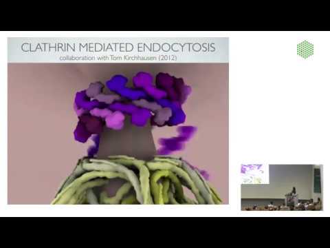 EMBL Keynote Lecture -  Communicating science visually, Janet Iwasa