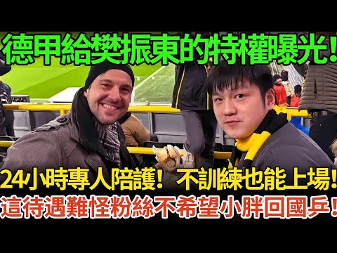 德甲給樊振東的特權曝光！24小時專人陪護！不訓練也能上場！這待遇難怪粉絲不希望小胖回國乒！