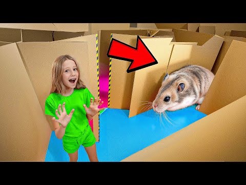 Nastya and her hamster’s cardboard maze adventure