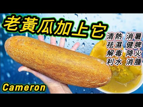 老黃瓜清熱袪濕湯老黃瓜螺片蟲草花豬腱湯Old cucumber and pork shanks soup with dried sea whelks and cordyceps flowers