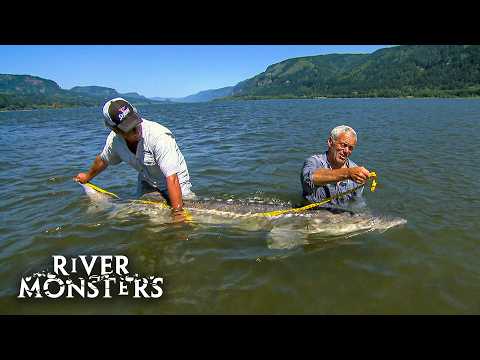 River Monsters Full Episode - Season 2, Episode 3 - Alaskan Horror
