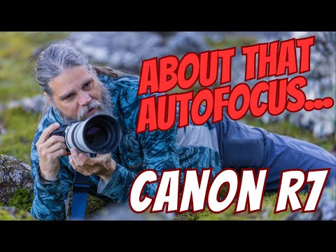 Canon R7 Long Term Review - About that Autofocus......