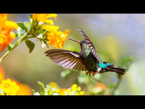 10 Hours of Relaxing Music - Sleep Music, Piano Music for Stress Relief, Sleeping Music (Rory)