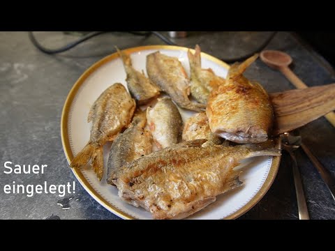 What Grandma also knew: Pickle whitefish!