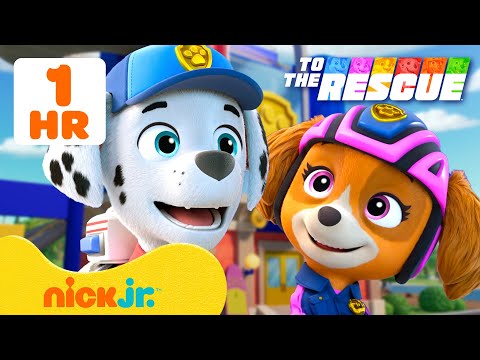 PAW Patrol To The Rescue: Search & Rescue Missions! #3 w/ Marshall | Nick Jr.